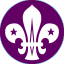 Scout membership badge